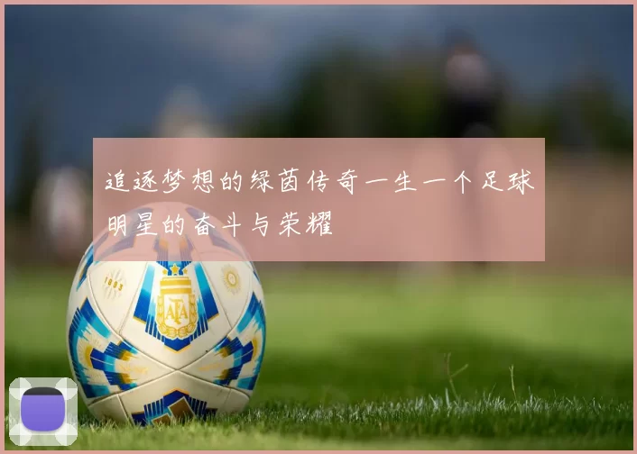 追逐梦想的绿茵传奇一生一个足球明星的奋斗与荣耀
