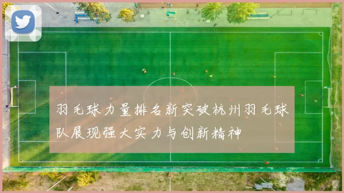 羽毛球力量排名新突破杭州羽毛球队展现强大实力与创新精神