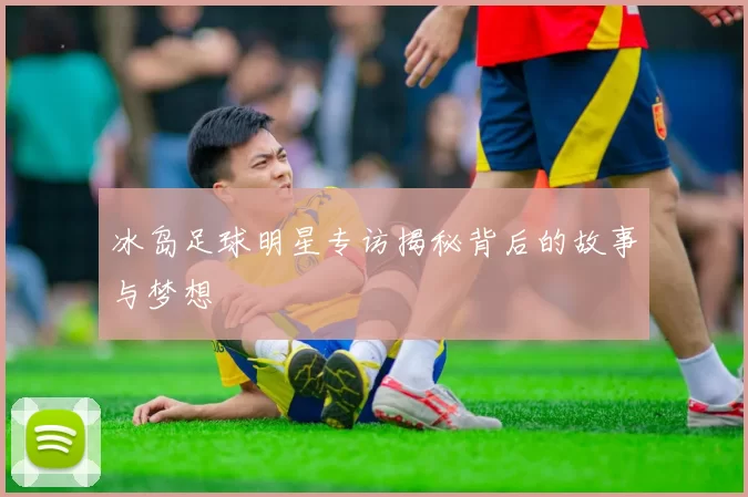 冰岛足球明星专访揭秘背后的故事与梦想