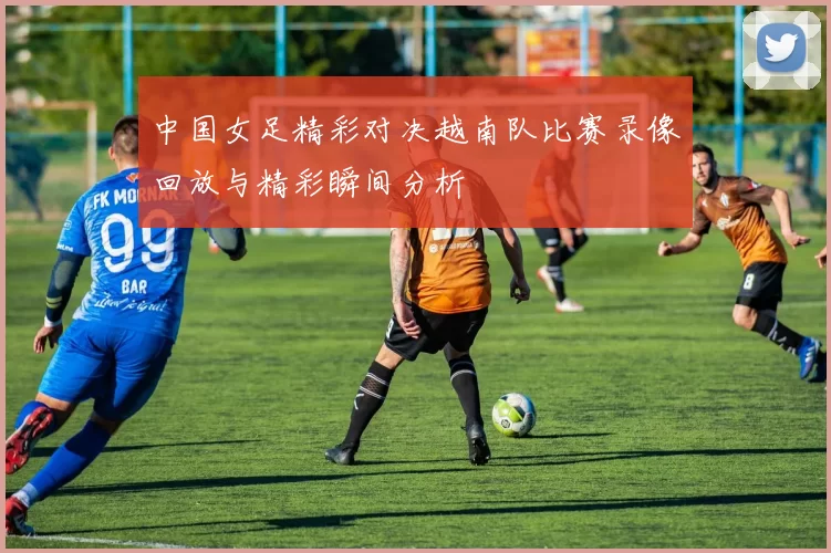 中国女足精彩对决越南队比赛录像回放与精彩瞬间分析