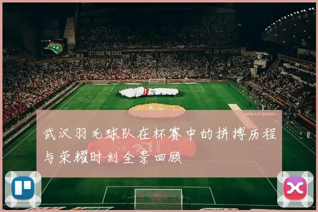 武汉羽毛球队在杯赛中的拼搏历程与荣耀时刻全景回顾