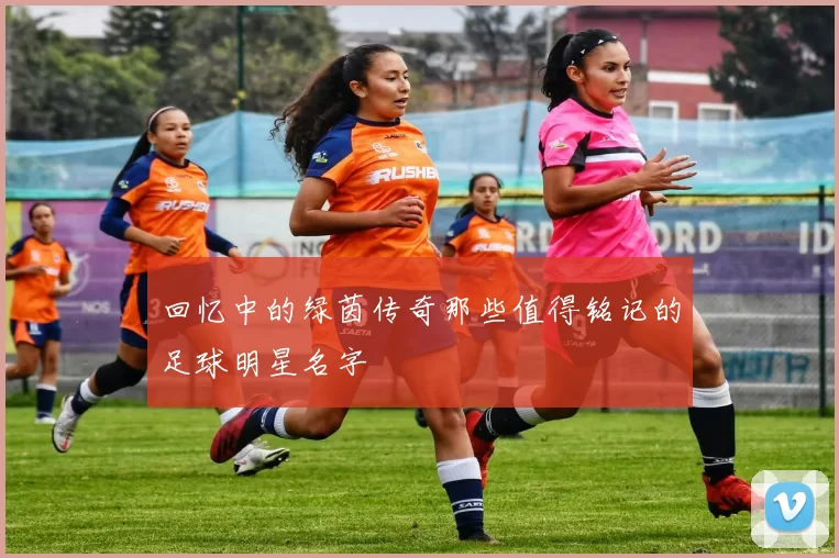 回忆中的绿茵传奇那些值得铭记的足球明星名字