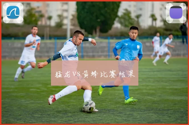 猛龙vs黄蜂比赛结果