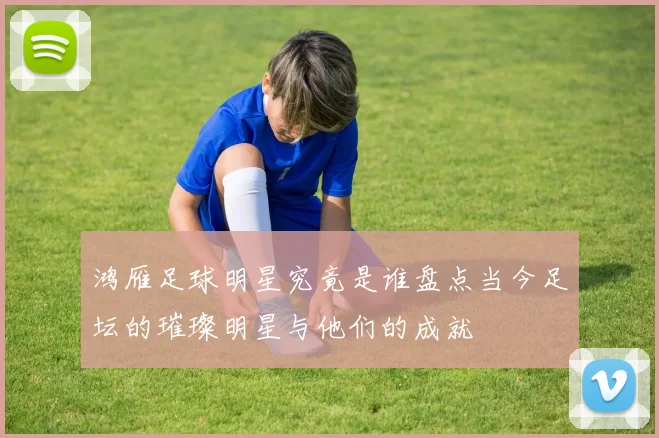 鸿雁足球明星究竟是谁盘点当今足坛的璀璨明星与他们的成就