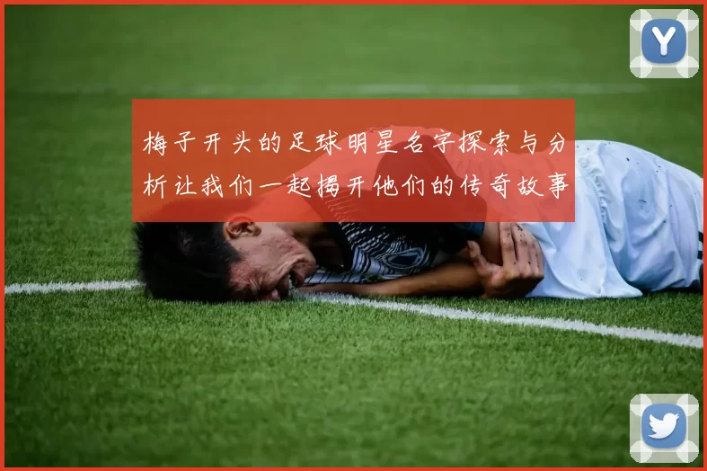 梅子开头的足球明星名字探索与分析让我们一起揭开他们的传奇故事与成就