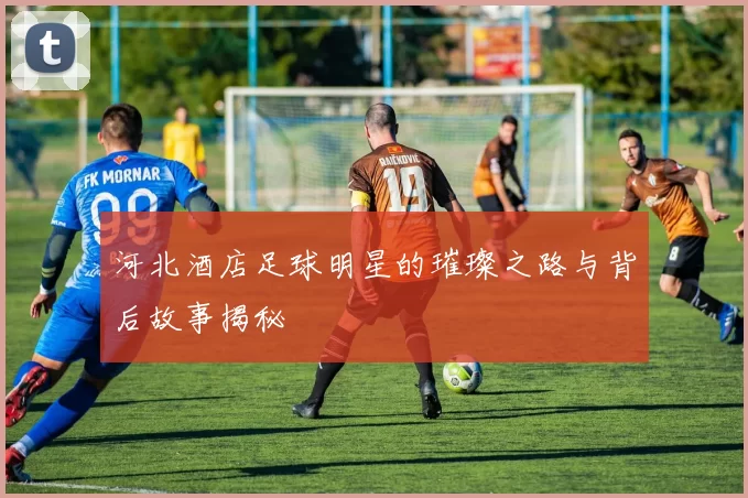 河北酒店足球明星的璀璨之路与背后故事揭秘