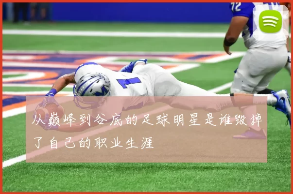 从巅峰到谷底的足球明星是谁毁掉了自己的职业生涯