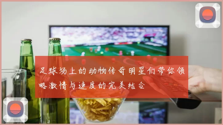 足球场上的动物传奇明星们带你领略激情与速度的完美结合