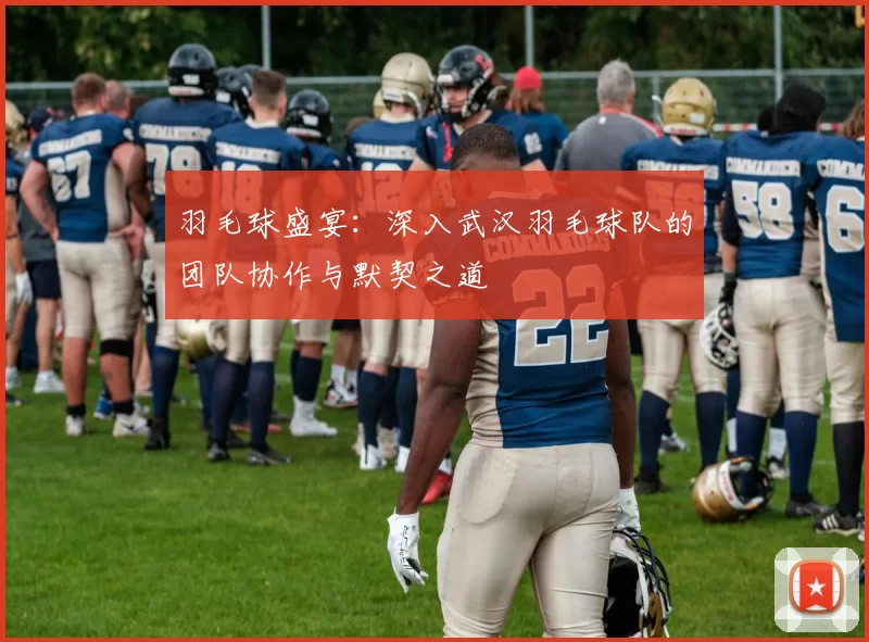 羽毛球盛宴：深入武汉羽毛球队的团队协作与默契之道