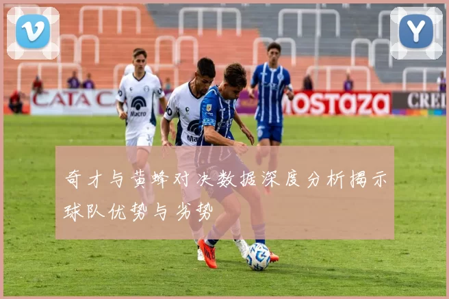 奇才与黄蜂对决数据深度分析揭示球队优势与劣势
